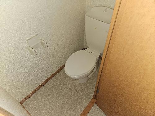 トイレ　備品や設備仕様は号室等により異なります現地をご確認下さい。