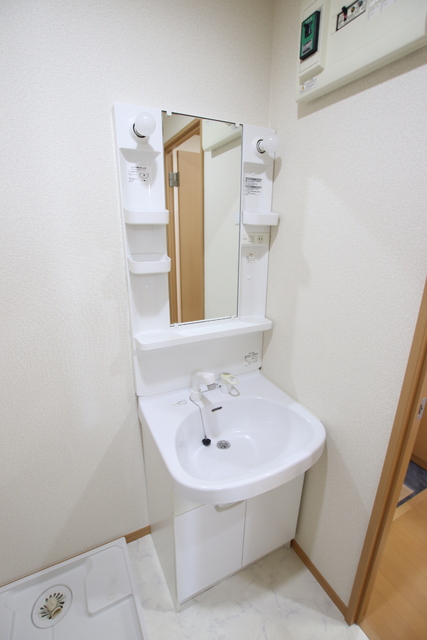 洗面設備　忙しい朝も嬉しいシャワー付き洗面化粧台
