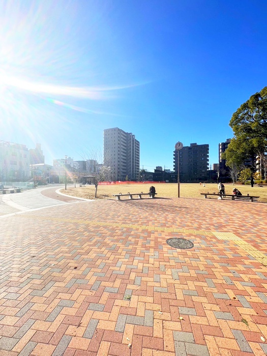 公園　常磐公園（公園）まで380m