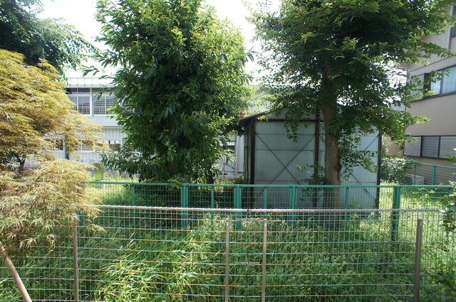 眺望　バルコニーからの眺めです！緑豊かな住環境！