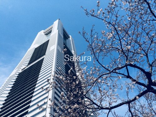 ショッピングセンター　ランドマークタワー（ショッピングセンター）まで996m