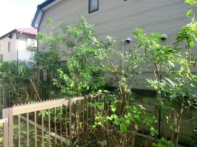 眺望　周辺は静かな住宅街です。