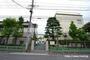 中学校　中野区立第十中学校（中学校）まで520m
