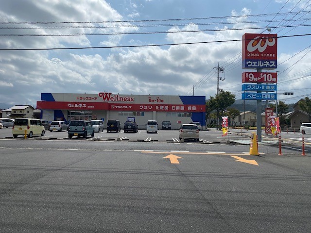 ドラックストア　ドラッグストアウェルネス倉吉東店（ドラッグストア）まで856m