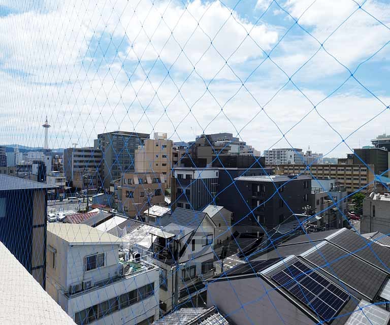 眺望　・６０３号室からの眺望です