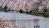 公園　外濠公園（公園）まで956m