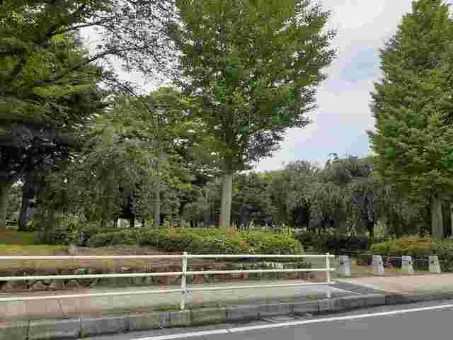 公園　吉羽公園（公園）まで270m