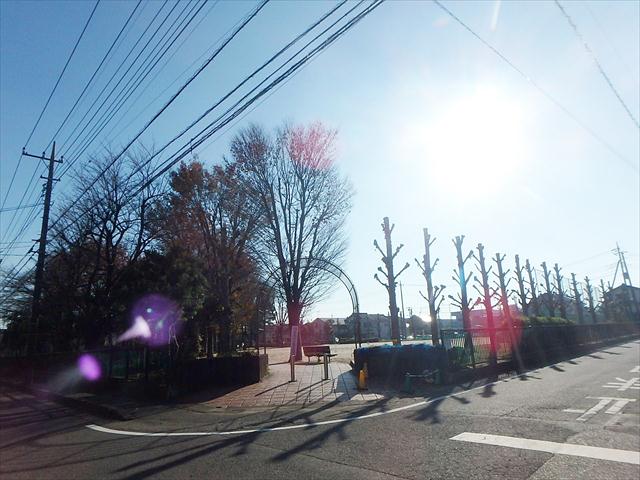 公園　朝日中央公園（公園）まで305m