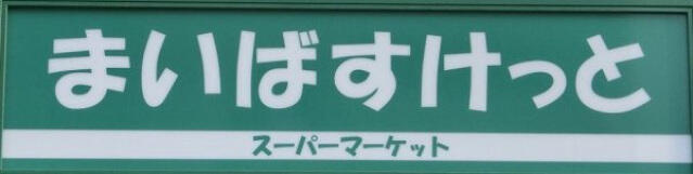 その他　まいばすけっと東日本…まで２６２ｍ