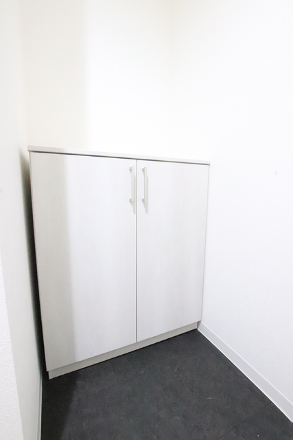 玄関　同間取・他号室の参考写真となります。