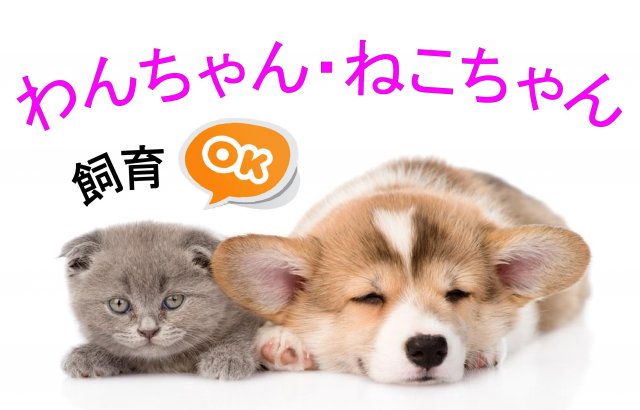 その他　ペット（わんちゃん・ねこちゃん１匹まで）飼育OK！