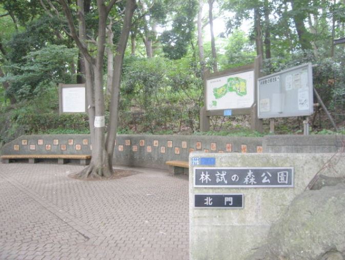 公園　都立林試の森公園北門（公園）まで559m