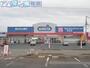 ドラックストア　ウエルシア薬局亀田店（ドラッグストア）まで1703m