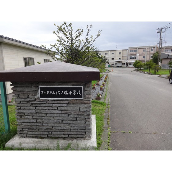 小学校　苫小牧市立沼ノ端小学校（小学校）まで1100m