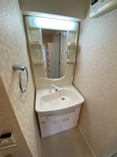 洗面設備　別部屋参考写真