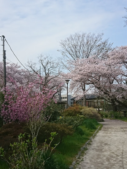 公園　玉川上水第二公園（公園）まで451m