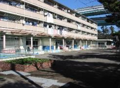 幼稚園・保育園　辰巳第三保育園（幼稚園・保育園）まで590m