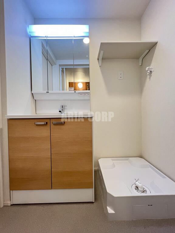 洗面設備　独立洗面台、シャワーヘッドタイプで洗髪や手入れに◎です