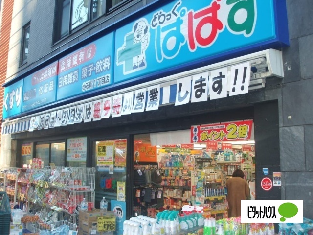 ドラックストア　どらっぐぱぱす小石川１丁目店（ドラッグストア）まで787m