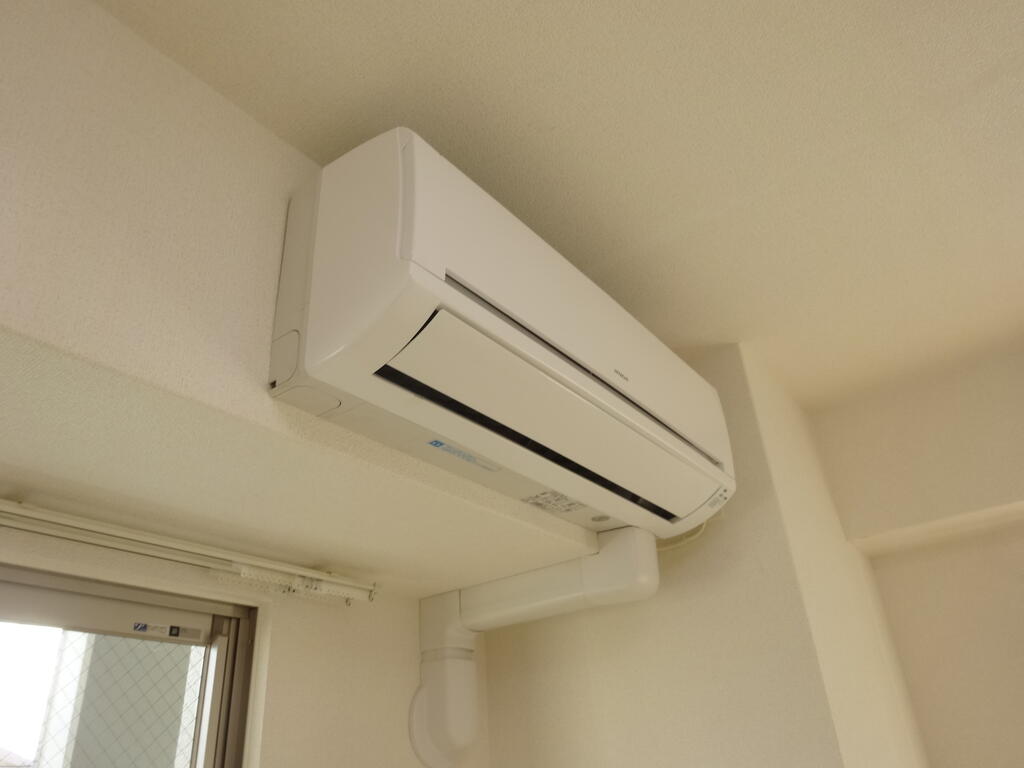 エクセランのその他写真