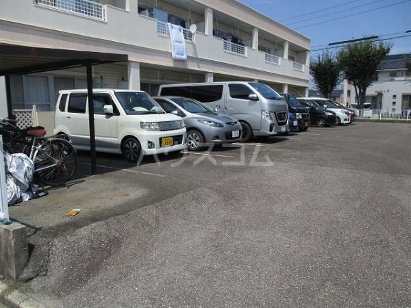 ゴールデンドーンのその他写真