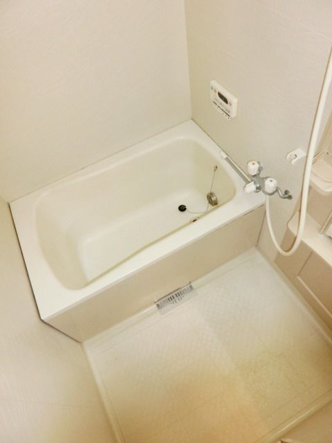 フォレストヴィラIの風呂写真
