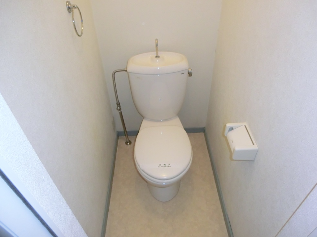 ヒルズ・トドロキIIのトイレ写真