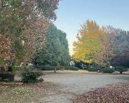 公園　布多公園（公園）まで315m