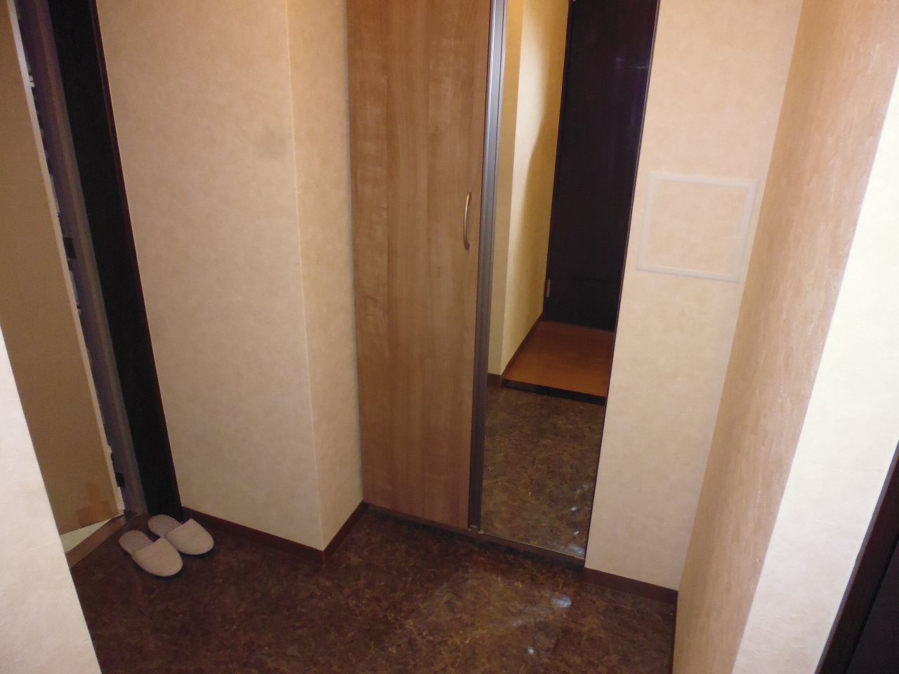 プラセル樟葉の玄関写真