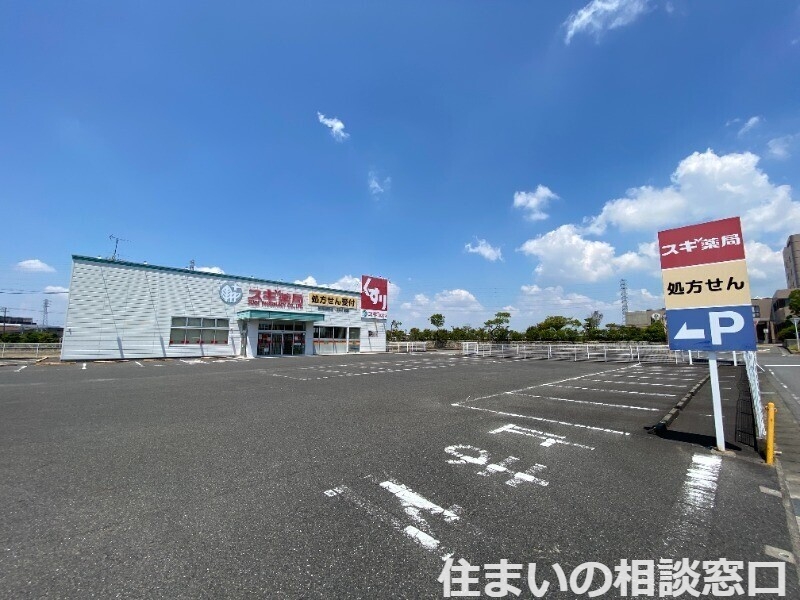 【西尾市熊味町のアパートのドラックストア】