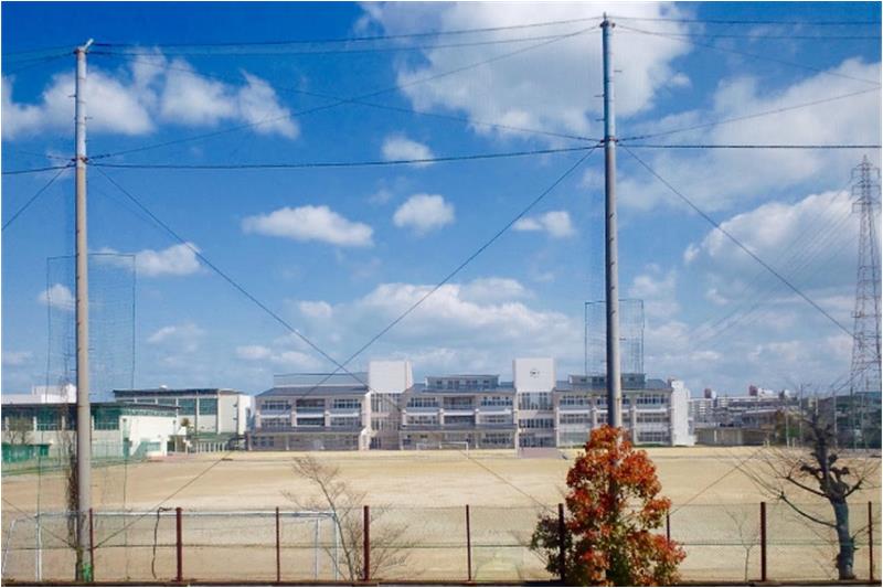 中学校　八尾市立桂中学校（中学校）まで2205m