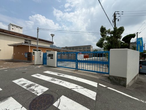 小学校　東大阪市立義務教育学校くすは縄手南校（小学校）まで434m