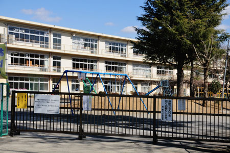 小学校　柏市立 柏第六小学校（小学校）まで1217m