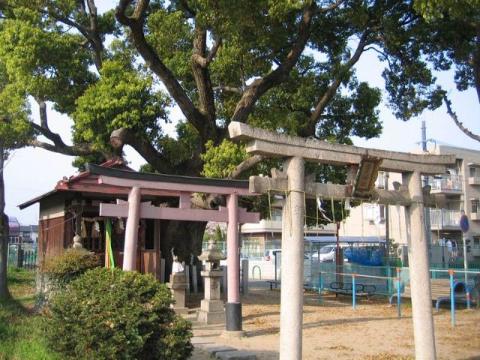 　楠さん（伯光神社）（その他　257m）