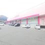 ドラックストア　ディスカウントドラッグコスモス安養寺店（ドラッグストア）まで771m