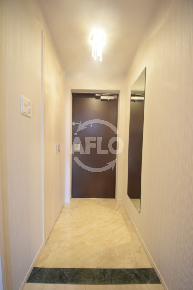 玄関　Vinoプレジオ本町　玄関