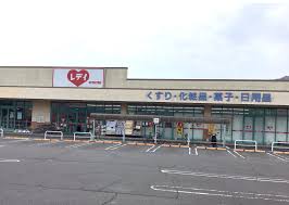 ドラックストア　くすりのレデイ フジ志度店（ドラッグストア）まで742m