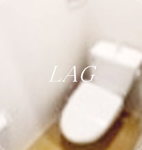 トイレ　トイレです。（同仕様です。）