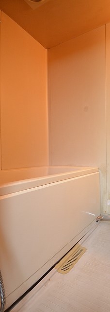 バス・シャワールーム　同物件、別号室のものです。