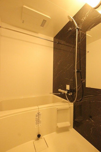 バス・シャワールーム　同物件、別号室のものです。