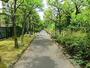 公園　洲崎川緑道公園（公園）まで146m