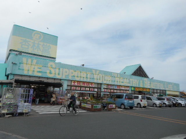 ドラックストア　杏林堂薬局芳川店（ドラッグストア）まで1582m