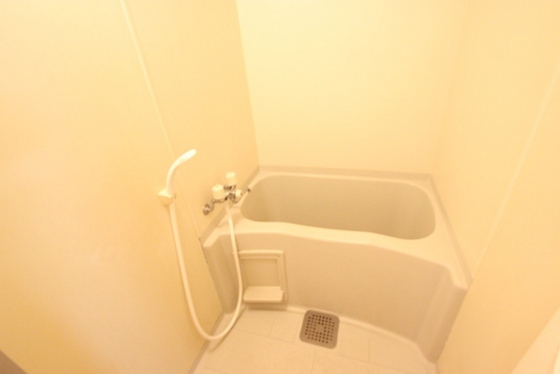 バス・シャワールーム　※別部屋の写真です