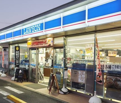 コンビニ　ローソン平塚南金目店（コンビニ）まで1082m