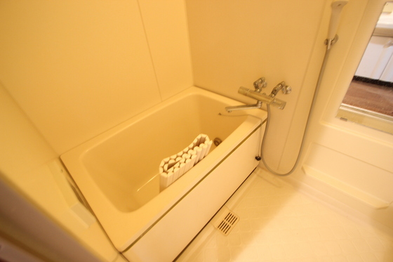 バス・シャワールーム　※別部屋の写真です