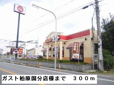 飲食店　ガスト柏原国分店様（飲食店）まで300m