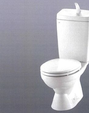 トイレ　※同仕様写真含む