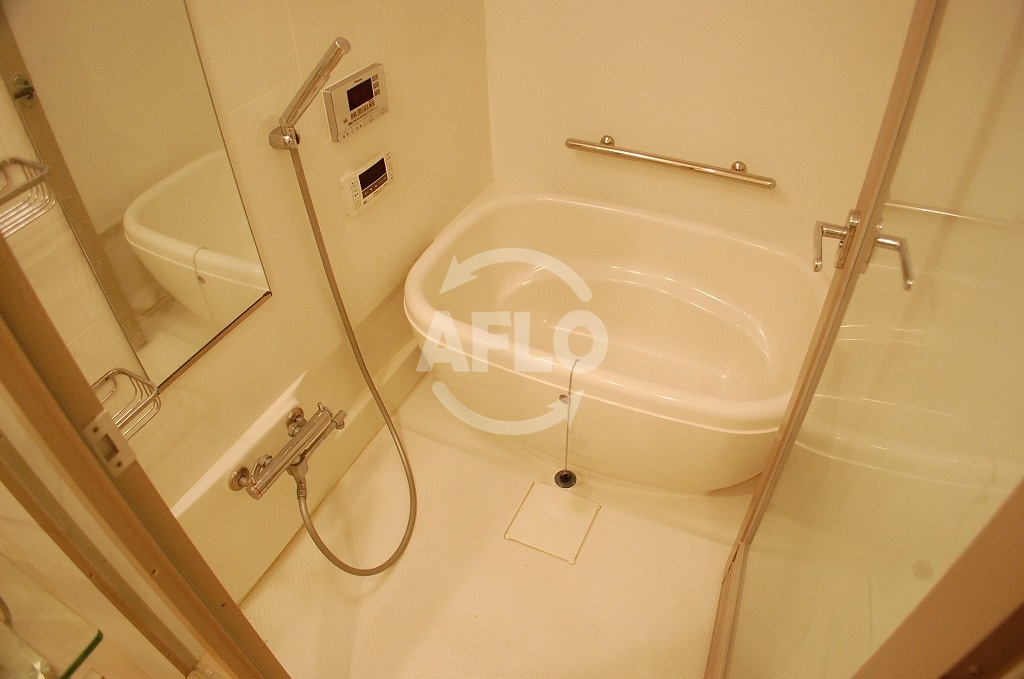 バス・シャワールーム　シティヒルズ安堂寺　浴室