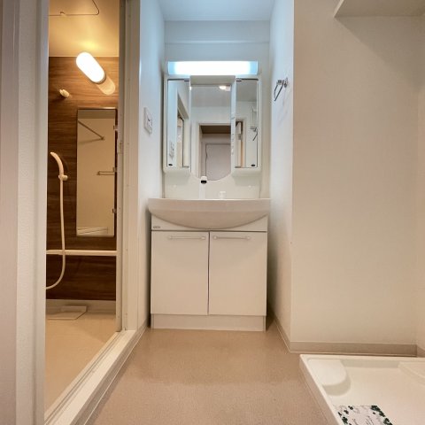 洗面設備　同仕様タイプです