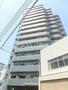 コスモ亀有５ 13階 築33年8ヶ月の賃貸物件